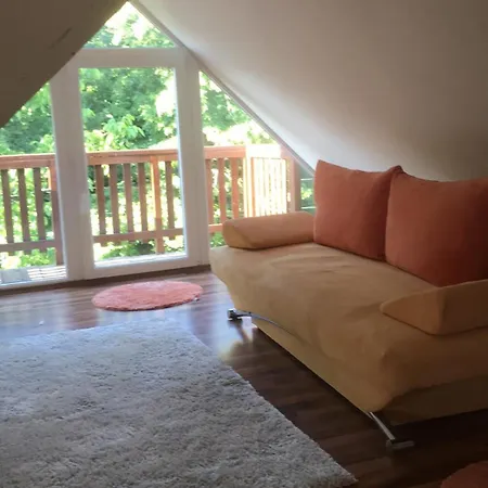 Sunnyside * زلاكاروس